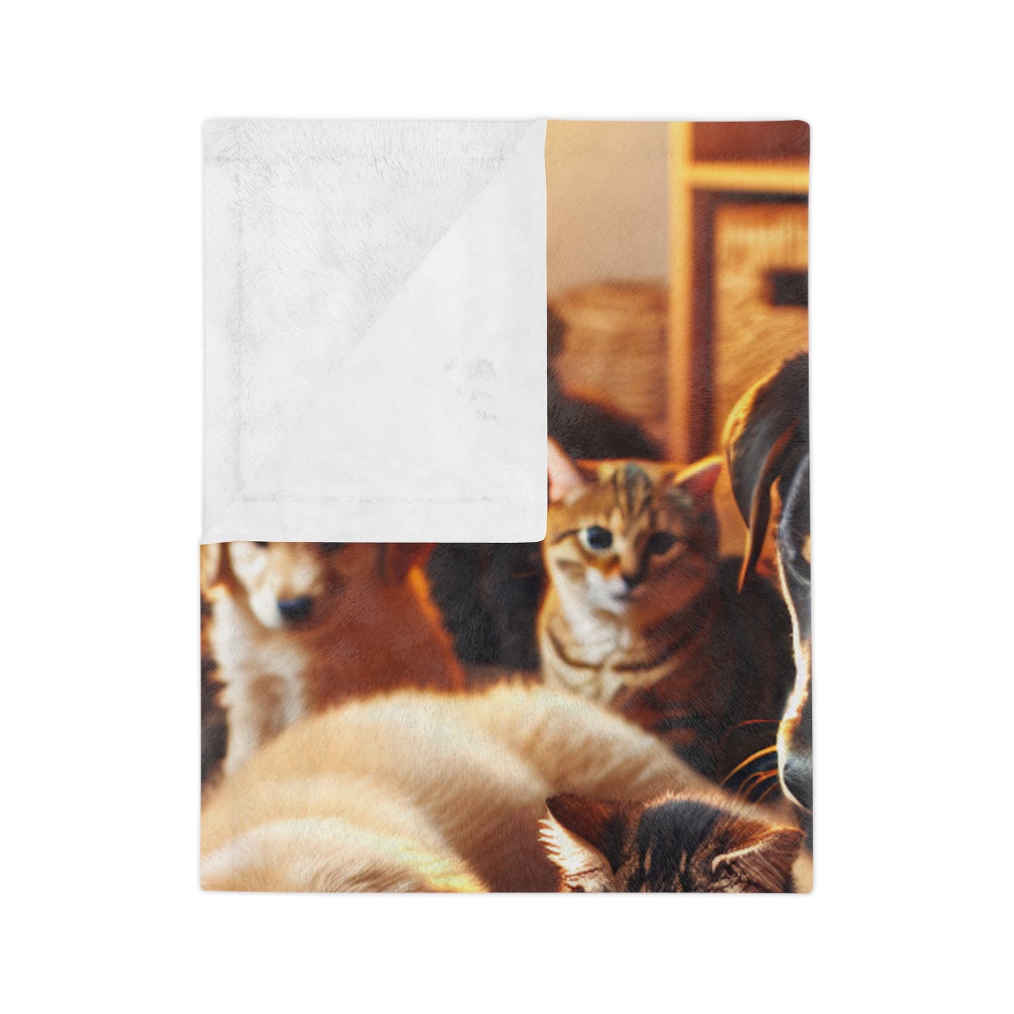 Cozy Pets Velveteen Microfiber Blanket – Soft Pet-Themed Throw for Animal Lovers.